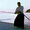 Le chemin du sabre Le chemin du sabre