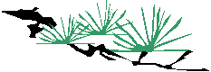 bambougreen